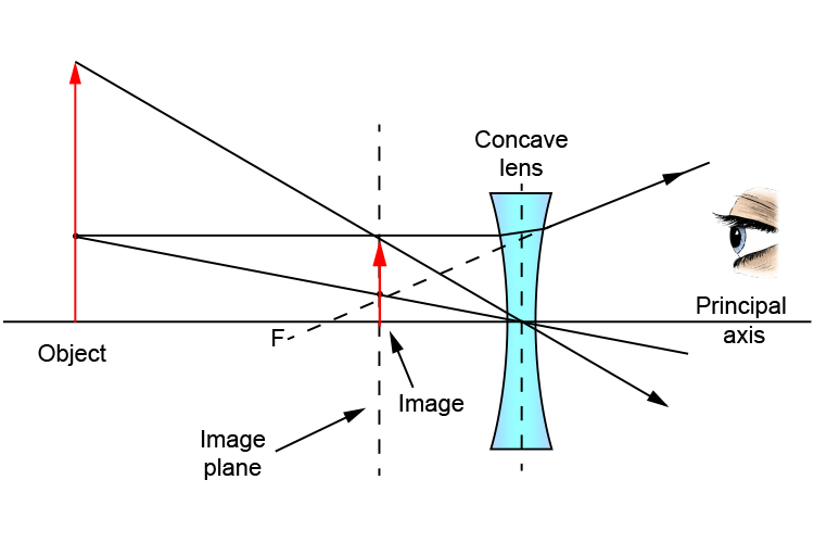 Ray diagram showing the point of focus when an object is bigger than the concave lens